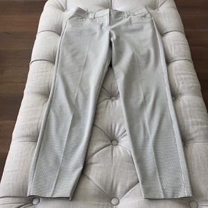 Express Editor ankle pant